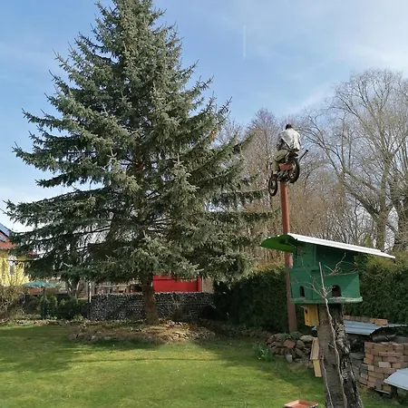 Апартаменты Fleischer